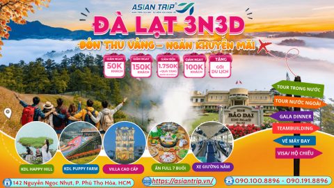 tour da lat gia re 12 1