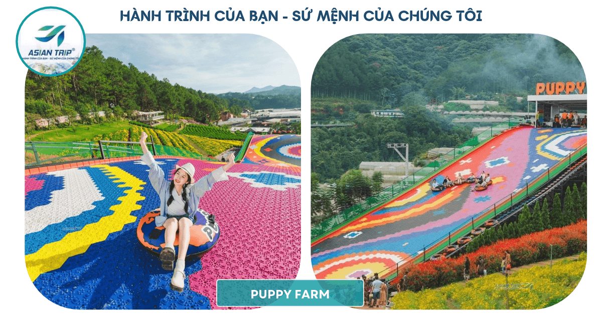 tour da lat gia re 5 1