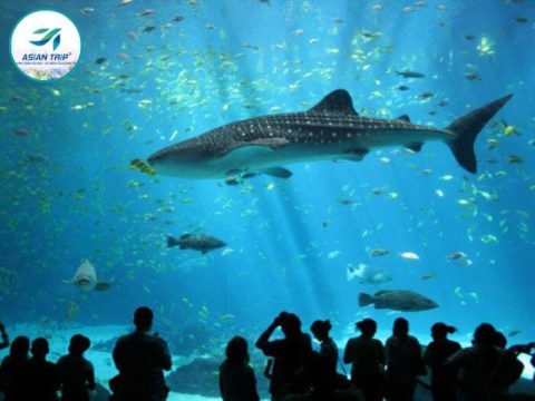 tour đi nha trang