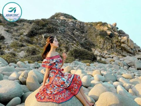 tour du lịch bình hưng