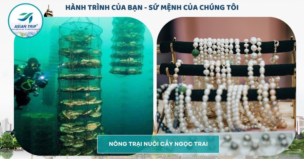 TOUR PHÚ QUỐC | LỄ 30/4 |【3N3D】 15 phú quốc vinpearl tour