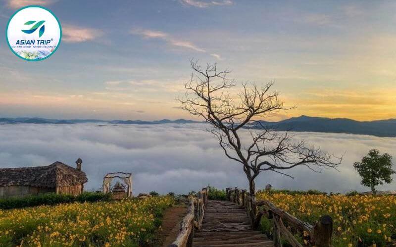 Thiên đường săn mây Cầu Đất: Bí kíp săn mây thành công 100% 2 Thiên đường săn mây Cầu Đất Đà Lạt