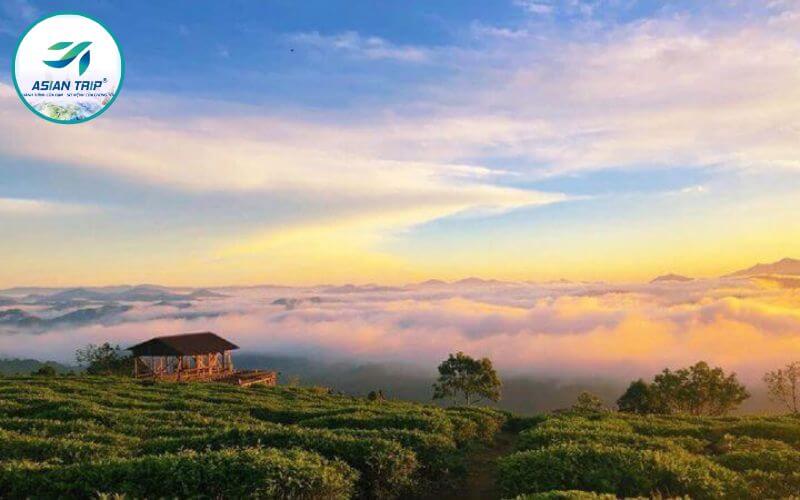 Thiên đường săn mây Cầu Đất: Bí kíp săn mây thành công 100% 5 Thiên đường săn mây Cầu Đất Đà Lạt