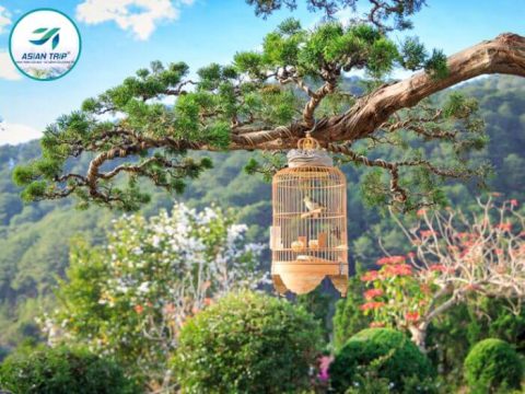 tour du lịch nha trang đà lạt