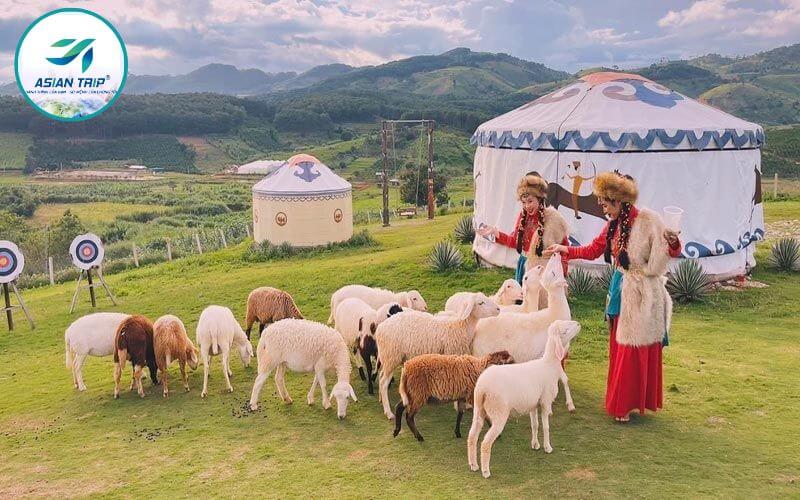 Mongo Land Dalat: Hé Lộ Bí Mật Xứ Sở Du Mục Giữa Lòng Đà Lạt? 4 Mongo Land Đà Lạt