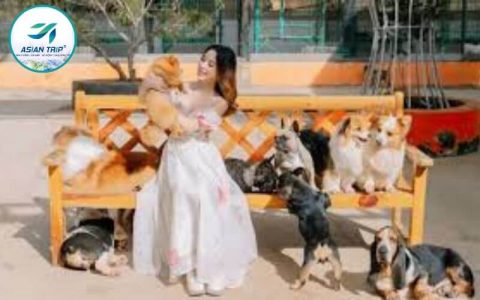 Puppy Farm Đà Lạt