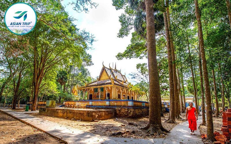 Chùa Dơi: Bí ẩn ngàn dơi, chốn thiêng Sóc Trăng? 4 Chùa Dơi