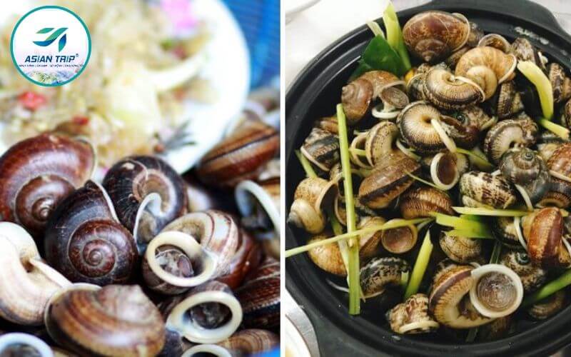 Món Ngon Tây Ninh: Ăn ở Đâu ? 8 mon ngon tay ninh an o dau 10