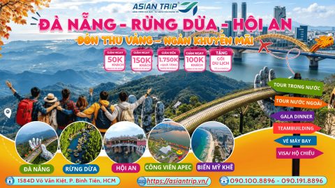 tour da nang rung dua bay mau hoi an 1
