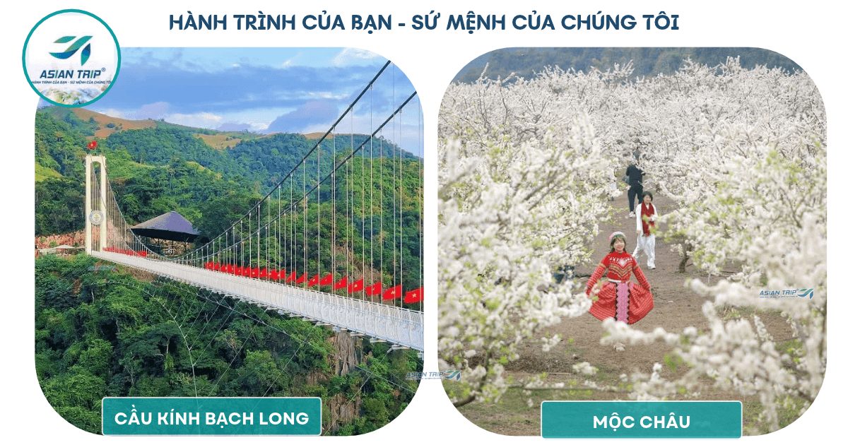 tour moc chau 1 1