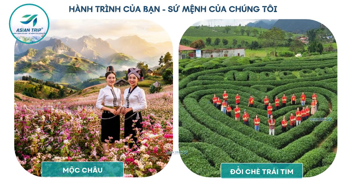 tour moc chau